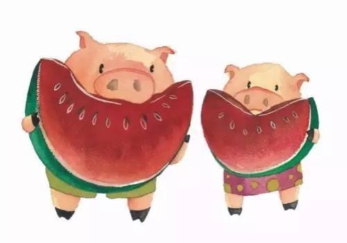 猪哥哥吃瓜,猪哥哥的瓜田奇遇记